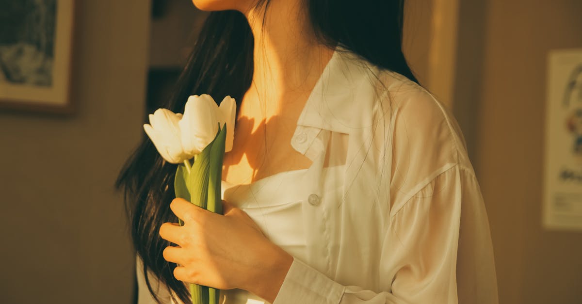 The Art of Minimalism: How to Embrace a Simple, Sustainable Lifestyle