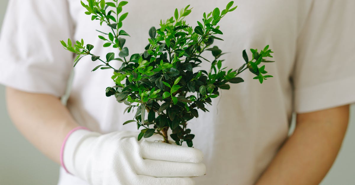 How to Spot Greenwashing: A Guide to Authentic Sustainable Fashion and Accessories