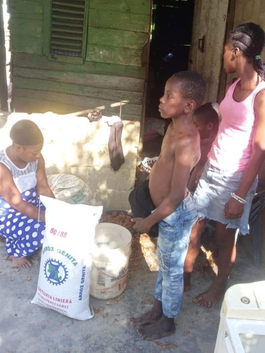 Juan Bosch Family #3066 - Rice Love