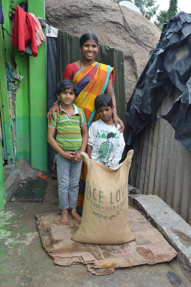 Maseem Bee Family #568 - Rice Love