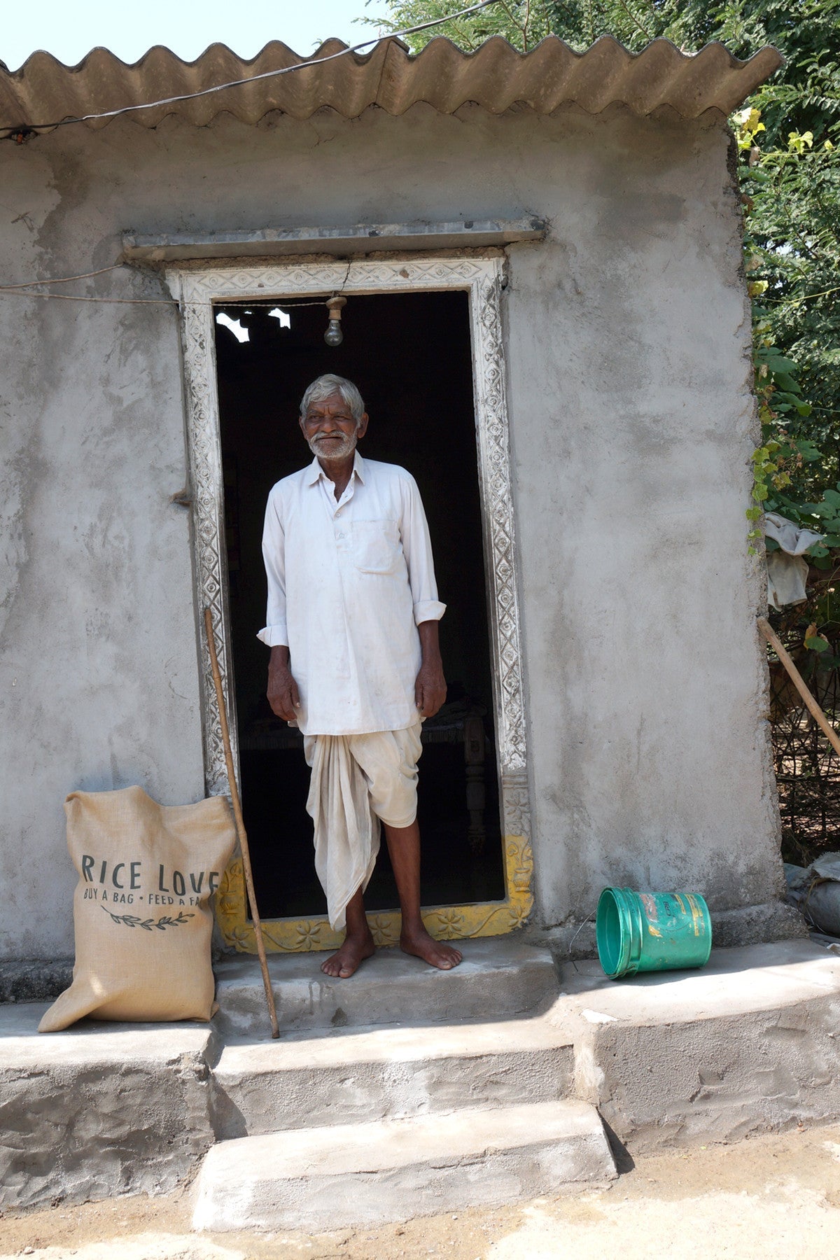 Palley Family #00119 - Rice Love