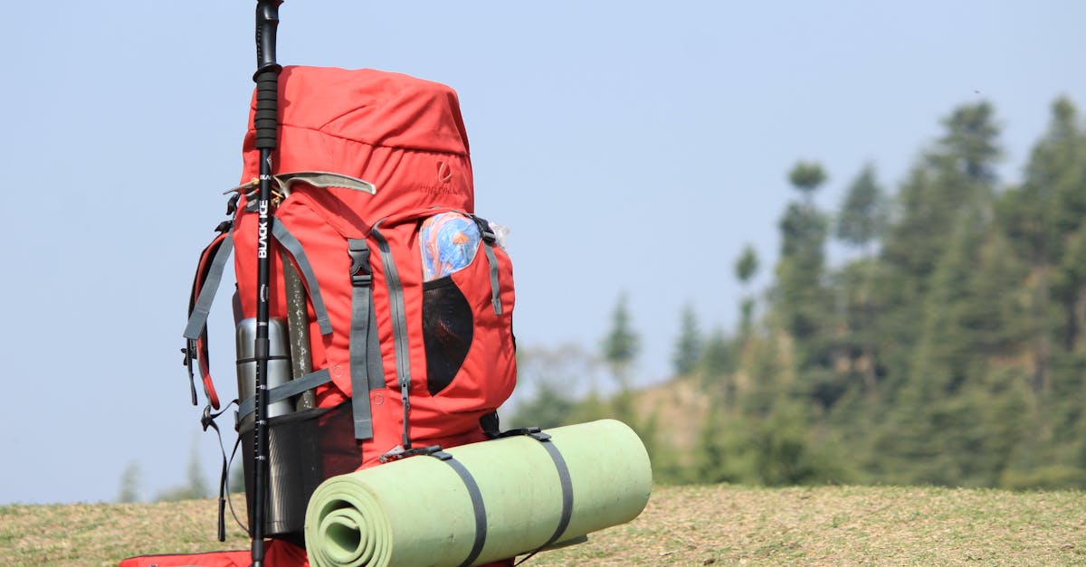 5 Best Recycled Travel Backpacks for Eco-Conscious Women in 2025
