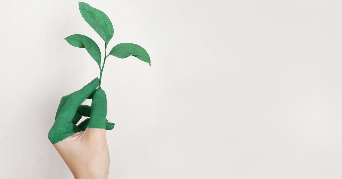 Cruelty‑Free, Recycled & Organic: How to Choose Eco‑Friendly Fashion Materials