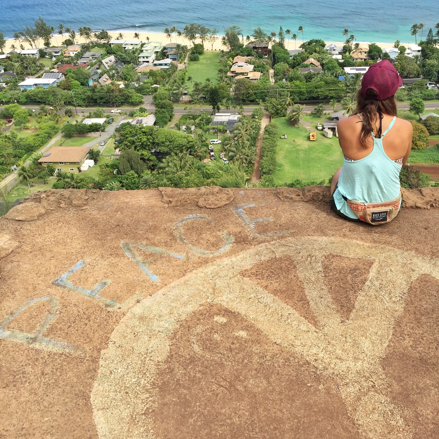 Promoting Peace in a World Divided: International Day of Peace - Rice Love