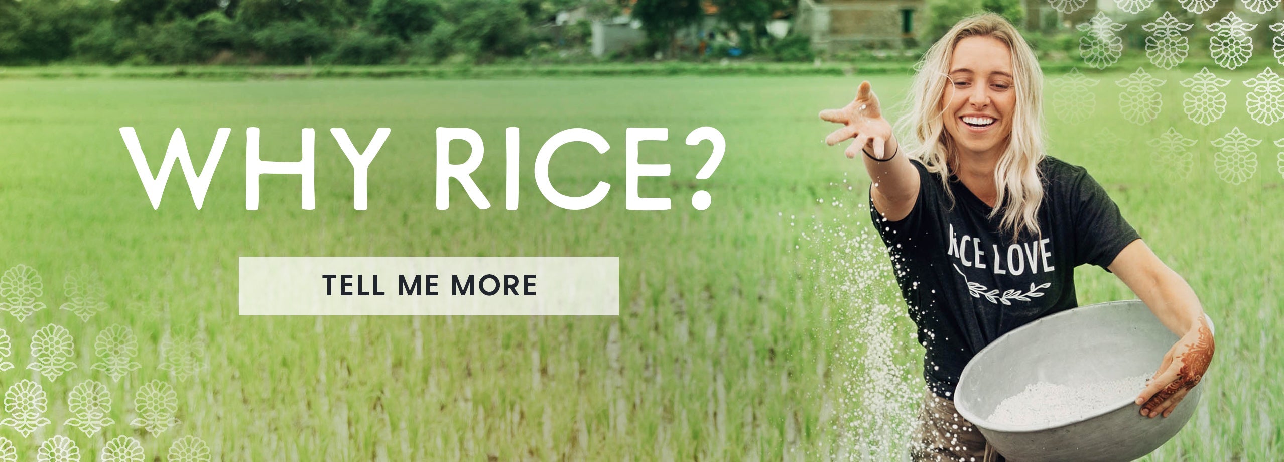 The Loving Rice Why Rice? – Rice Love