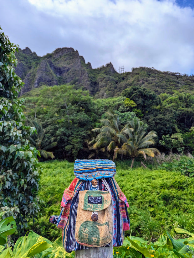 One of a Kind Mini Backpack